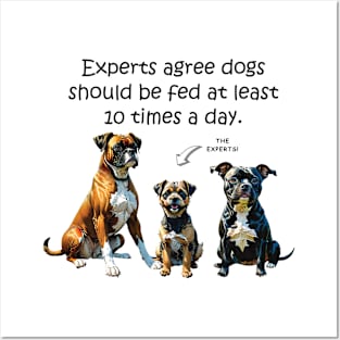 Experts agree dogs should be fed at least 10 times a day - funny watercolour dog design Posters and Art